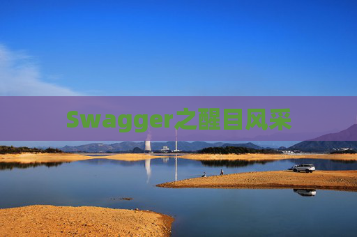 Swagger之醒目风采